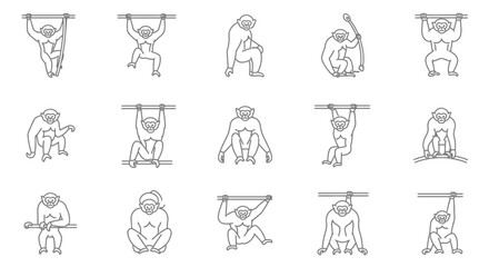 Outlined monkey collection diverse poses active illustrations on white background © Kali