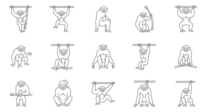Outlined monkey collection diverse poses active illustrations on white background