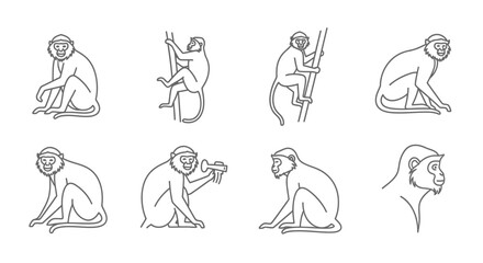 Obraz premium Outlined monkeys in different poses vector illustration collection