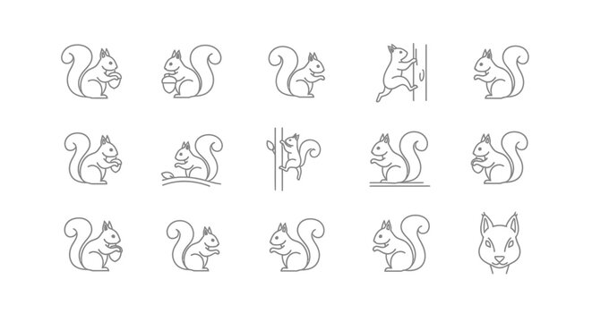 Outlined squirrel icons set playful poses and activities on white background