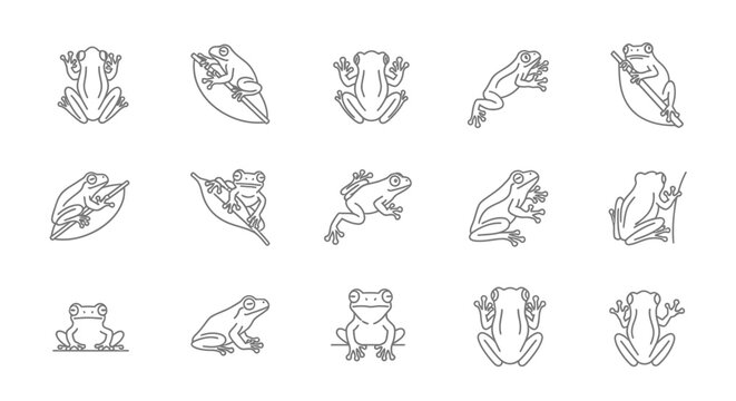 Outlined frog illustrations in various poses for design and commercial uses