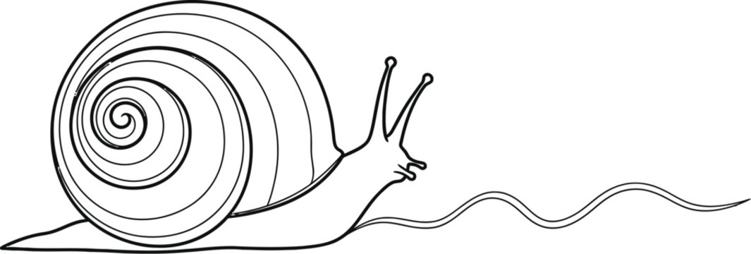 A simple black and white line drawing of a garden snail moving slowly across a clean white background