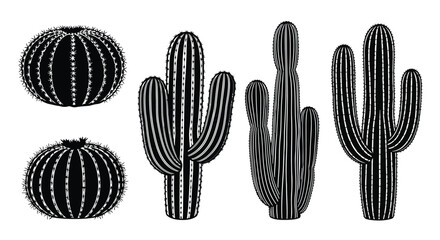 Black and white cactus illustrations © MohammadMasud