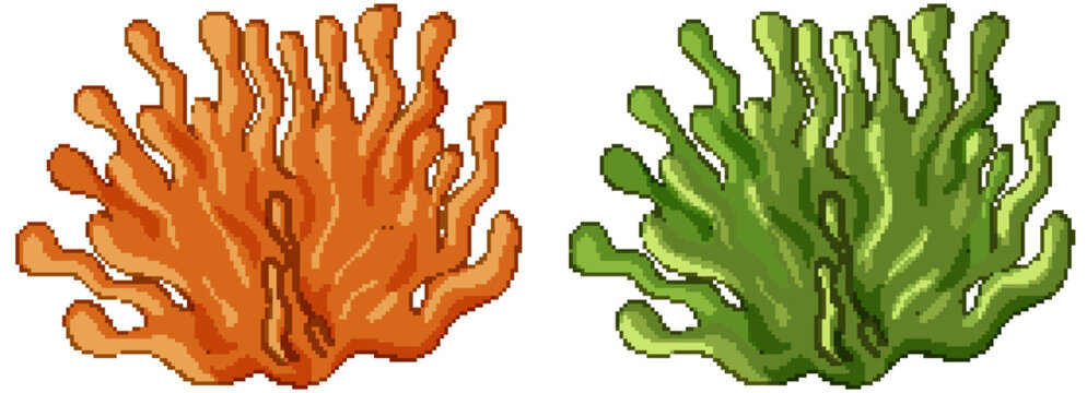 Orange and Green Sea Anemone Vector Illustration on White Background
