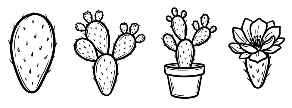 Hand drawn outline nopal cactus vector illustration set featuring desert botanical plant in pot blooming flower prickly pear fruits and single pad sketch isolated on background.