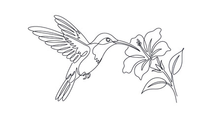 Hummingbird Feeding on Flower - Continuous Line Drawing © Salon
