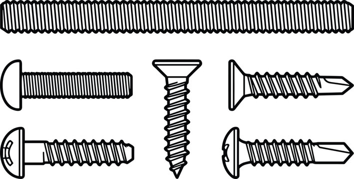 Threaded Rod and Fastener Types Vector Illustration with Machine Screws Self Tapping Screws and Hardware