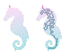 Abstract seahorse maze challenge with answers in gradient colors on white background   © Anna