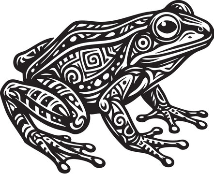 frog on a white background