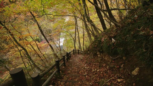 紅葉が美しい秋の秋保大滝 Akiu Great Falls in autumn, when the autumn leaves are beautiful.
