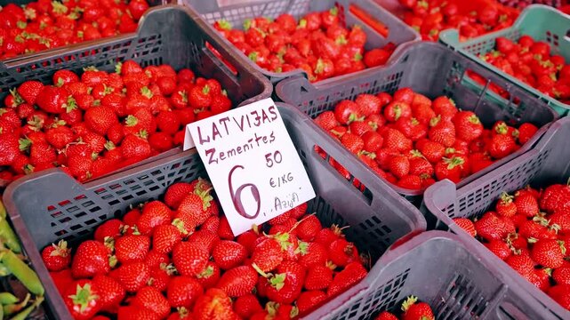 Local latvian produce market connects agriculture, affordability, demand today