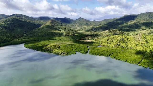 High-altitude push-in and panning drone shot over the lush mangrove forest and winding river systems near Mt. Capoas, Palawan, Philippines