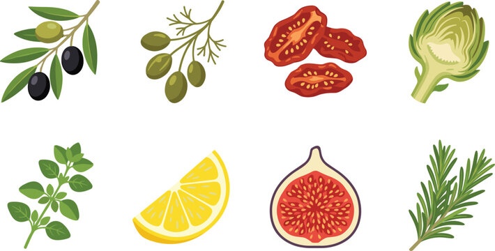 Premium Mediterranean Food Vector Illustration Set with Olives Artichoke Fig and Fresh Herbs for Culinary Design
