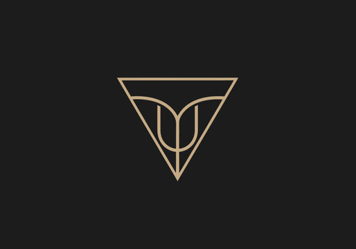 Minimalist logo with a beige geometric design resembling a plant inside a triangle on a black background