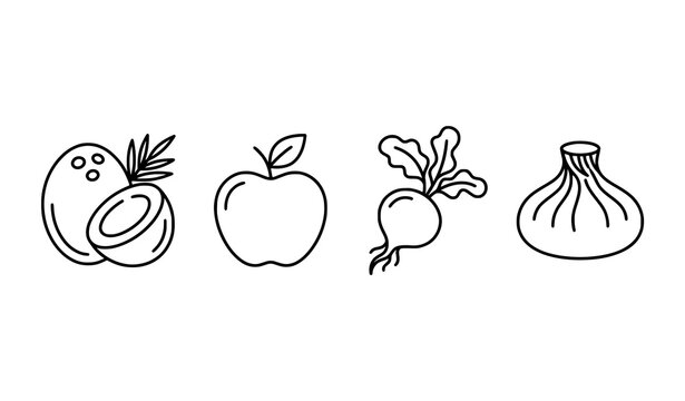Food line icon set with coconut apple beetroot and dumpling vector symbols