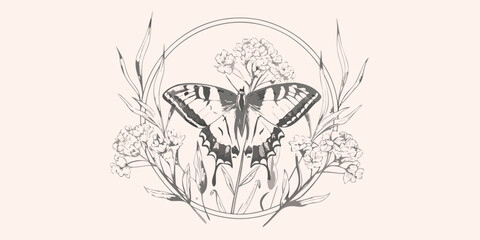 Butterfly and floral ornament a grayscale vector illustration on beige © Prince