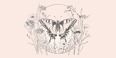 Butterfly And Wildflowers A Detailed Vector Illustration On A Pale Background © Prince