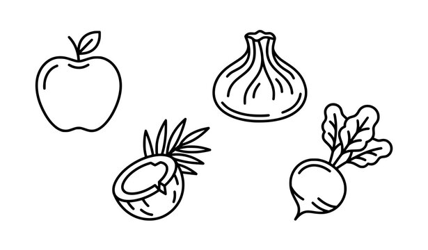 Creative food outline vector icon set with coconut apple beetroot and dumpling symbols
