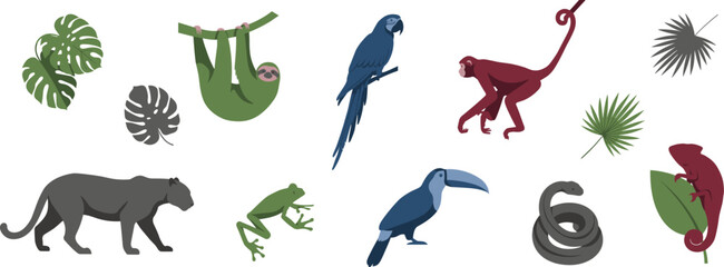 Obraz premium Tropical Rainforest Animal Vector Set with Sloth Parrot Monkey Panther Frog Toucan Chameleon for Wildlife and Nature Design