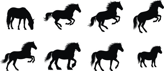 Obraz premium Horse Silhouette Collection with Running Rearing Grazing and Standing Poses