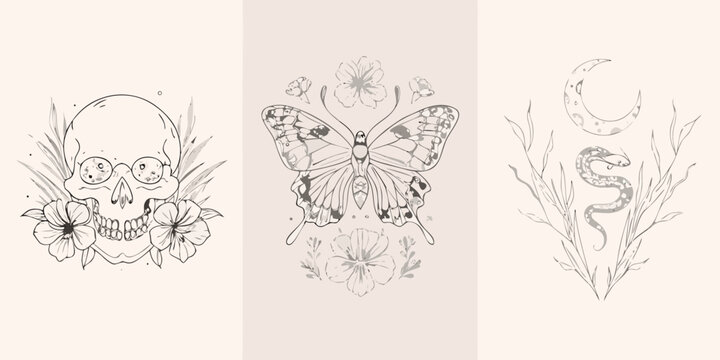 Floral skull butterfly and serpent triptych line art illustration