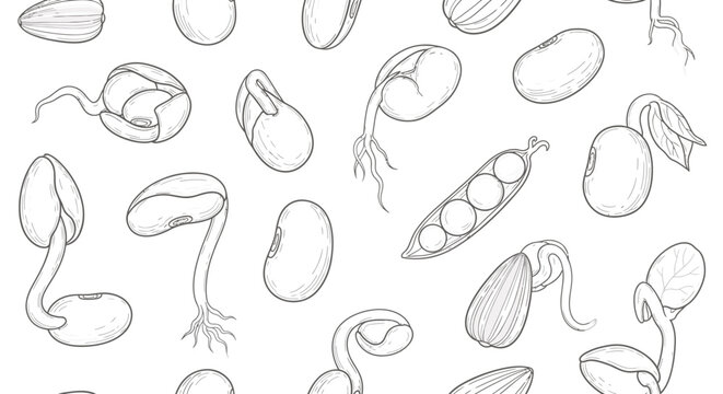 Hand drawn line art of germinating seeds and sprouts