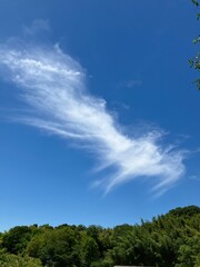 Obraz premium 青空と雲