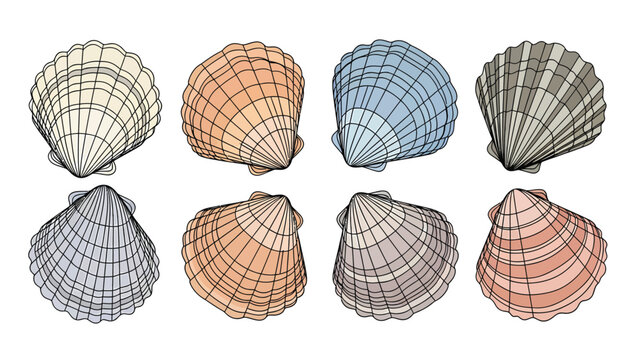 Collection of eight colorful scallop shells with detailed line art, isolated on a white background.