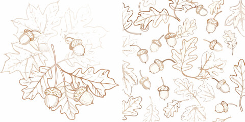 Oak leaves and acorns a beige vector illustration on a white background © Sukla