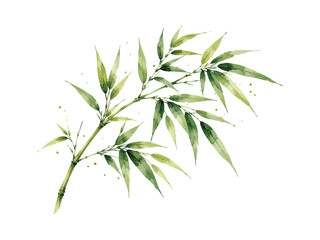 Fototapeta premium Watercolor Painting of a Bamboo Branch with Green Leaves.
