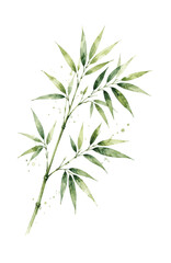 Obraz premium Watercolor painting of a single bamboo branch with green leaves.