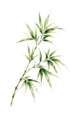 Fototapeta premium Watercolor painting of a single bamboo branch with green leaves.