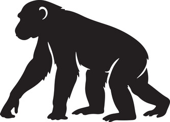 Fototapeta premium monky vector