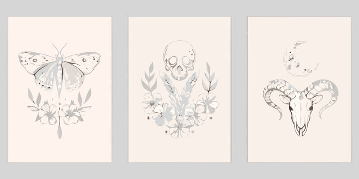 Botanical skull and moth triptych grayscale vector illustration on beige