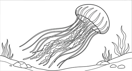 Jellyfish line art illustration with seaweed and rocks © Sajminnahar
