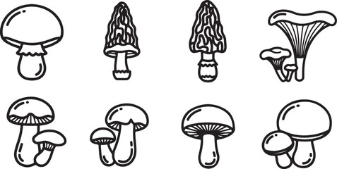 Black and white mushroom illustration collection © tarik