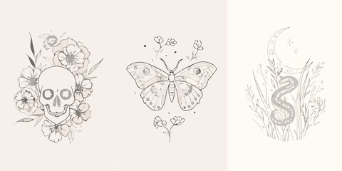 Floral Skull Butterfly And Serpent Triptych Line Art Illustration © Ganesh
