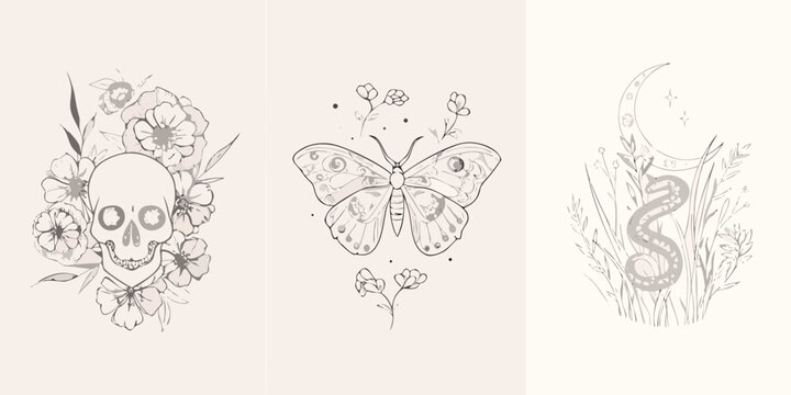 Floral Skull Butterfly And Serpent Triptych Line Art Illustration