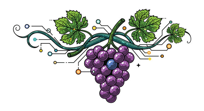 Intricate illustration of a bunch of purple grapes with vine leaves featuring a unique modern technology circuit board line design motif.