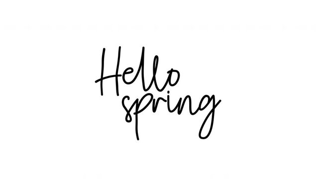 Hello Spring animated handwriting calligraphy text reveal, black on white background, seasonal spring greeting motion graphic for social media and reels