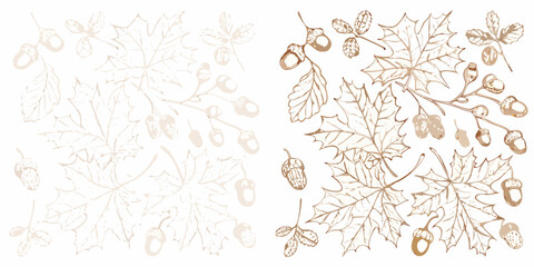Autumn Foliage Border A Horizontal Arrangement Of Leaves And Acorns © Sabuj