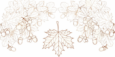 Autumn Foliage Border A Horizontal Arrangement Of Oak Leaves And Acorns © Sabuj