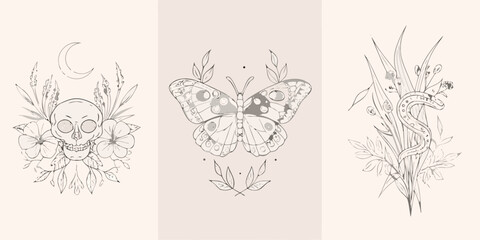 Floral Skull Butterfly And Snake Triptych Line Art Illustration © Sabuj