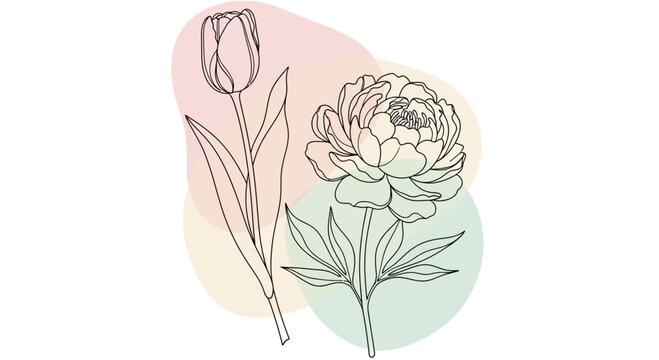 Minimalist line art of tulip and peony flowers with abstract pastel color blobs background