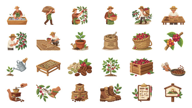 Coffee Harvesting and Processing Steps Flat Design Icons
