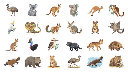 Fototapeta premium Collection of Australian Animals Illustrations for Educational Usage