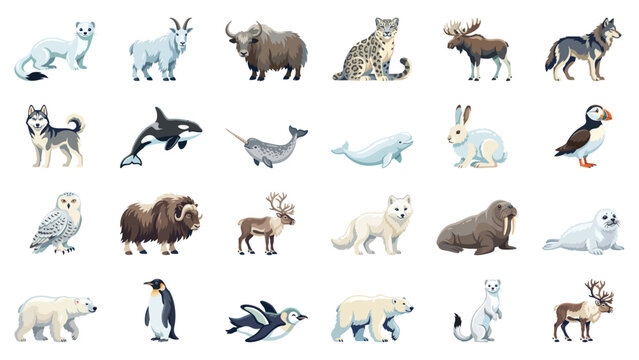 Arctic Animals Collection for Educational and Wildlife Content