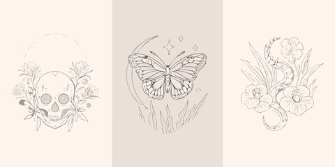 Floral skull butterfly and snake illustrations line art triptych on beige background © Poly