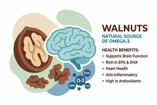 Walnut Health Benefits and Omega-3 Nutritional Infographic