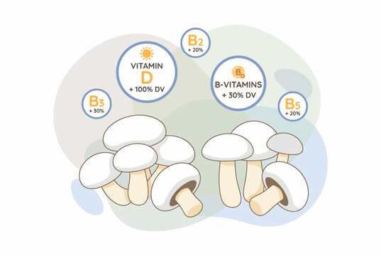 Mushroom nutrition infographic with Vitamin D and B complex icons